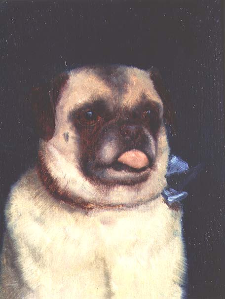 A Pug, 1895 (board)  von Ernest Moore