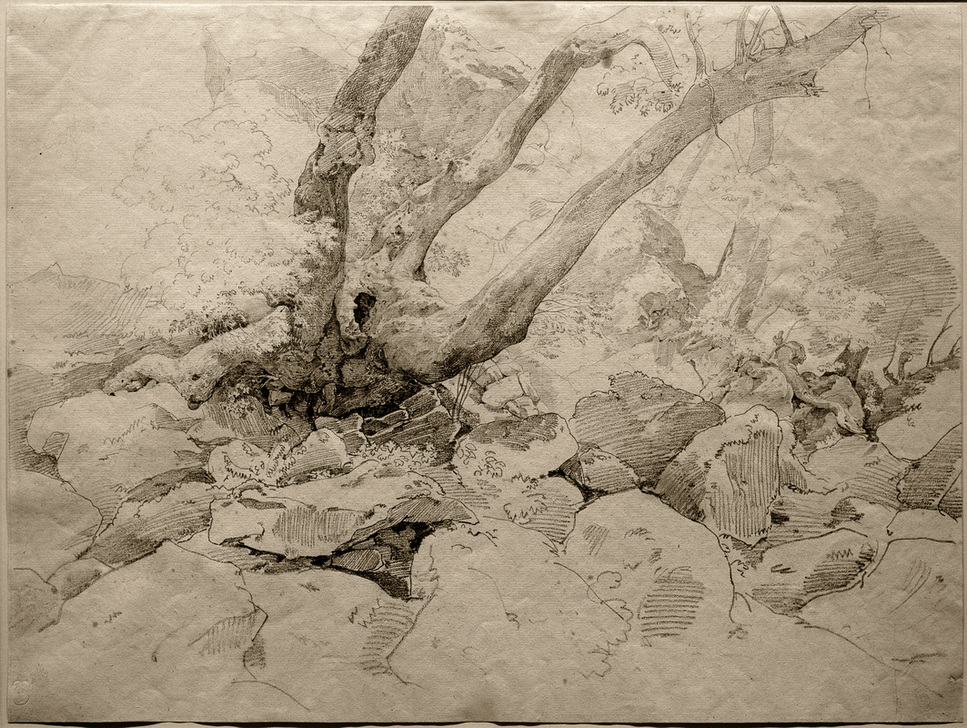 Verkrüppelter Baumstamm auf Felsen von Ernst Fries