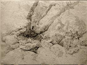 Verkrüppelter Baumstamm auf Felsen 1824