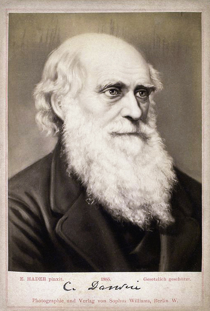 Porträt von Charles Darwin (1809-1882) von Ernst Hader