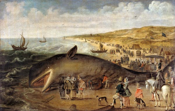 Ein Wal, 1617 zwischen Scheveningen und Katwijk gestrandet. von Esaias II van de Velde