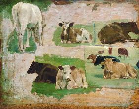 Study of Cows c.1860