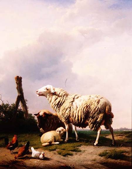 Sheep and Poultry in a Landscape von Eugène Joseph Verboeckhoven