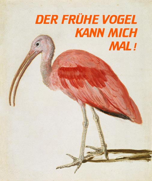 Portrait of a Scarlet Ibis Bird mit Worten von European School