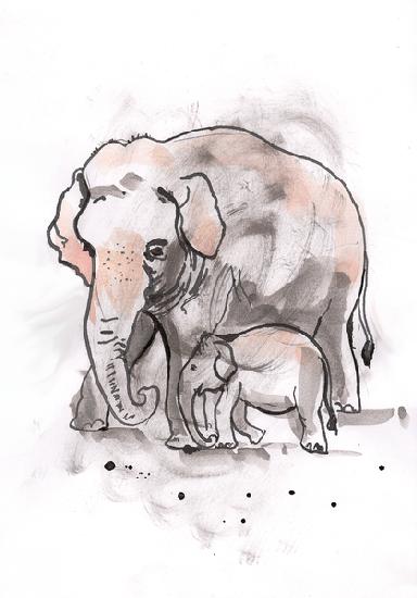 Elephant and Calf 2014