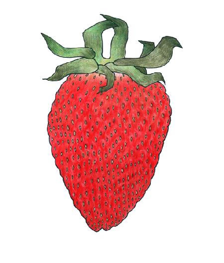 Strawberry 1 2013
