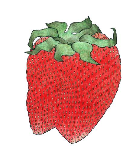 Strawberry 2 2013
