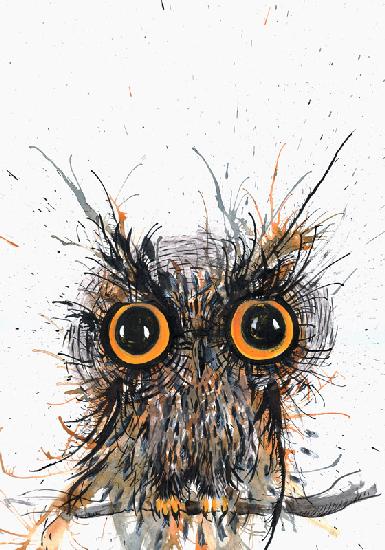 Wide eyed Owl 2012