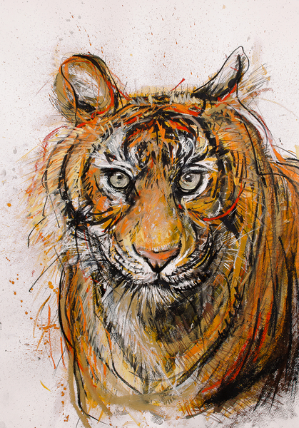 Tiger von Faisal Khouja