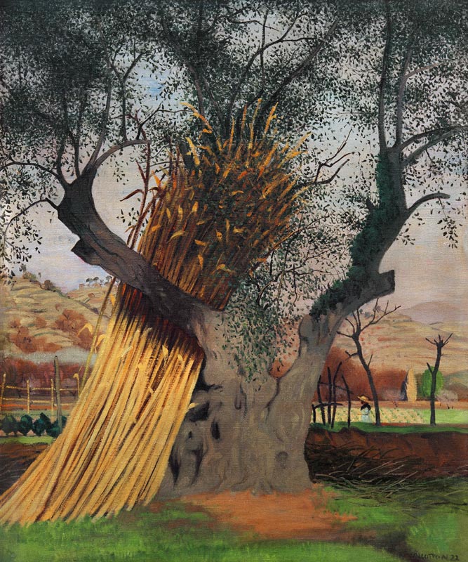 The Old Olive Tree von Felix Vallotton
