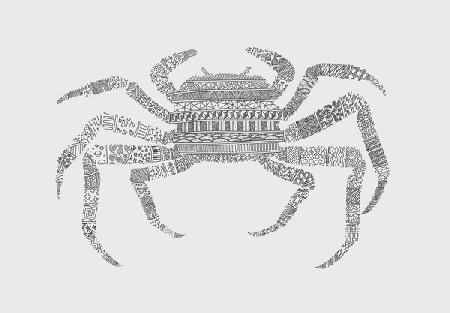 Crab 2017