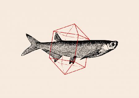 Fische in der Geometrie Nr. 2