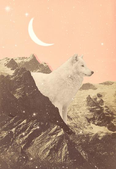 Riesiger weißer Wolf in den Bergen