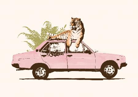 Tiger auf Auto