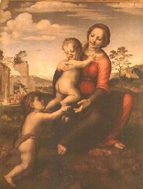 Madonna of the Well or Madonna and Child with the young St. John the Baptist, c.1503-09 (tempera on 1909