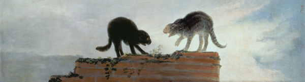 Riña de gatos von Francisco José de Goya