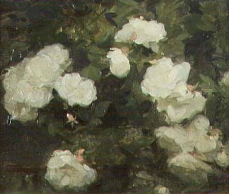 White Roses von Frank Bramley