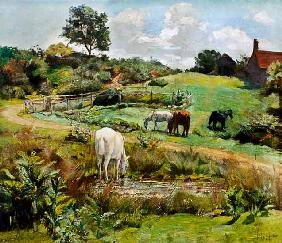 Horses Grazing in a Landscape