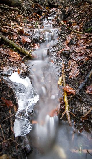 Kleiner Bach im Taunus von Frank Rumpenhorst