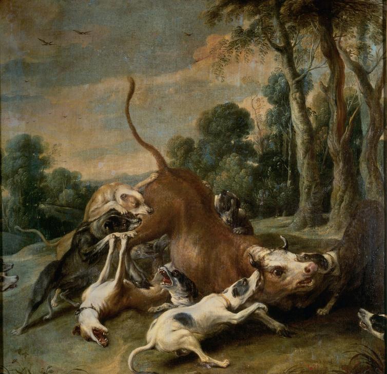 Bull Surrendered by Dogs von Frans Snyders