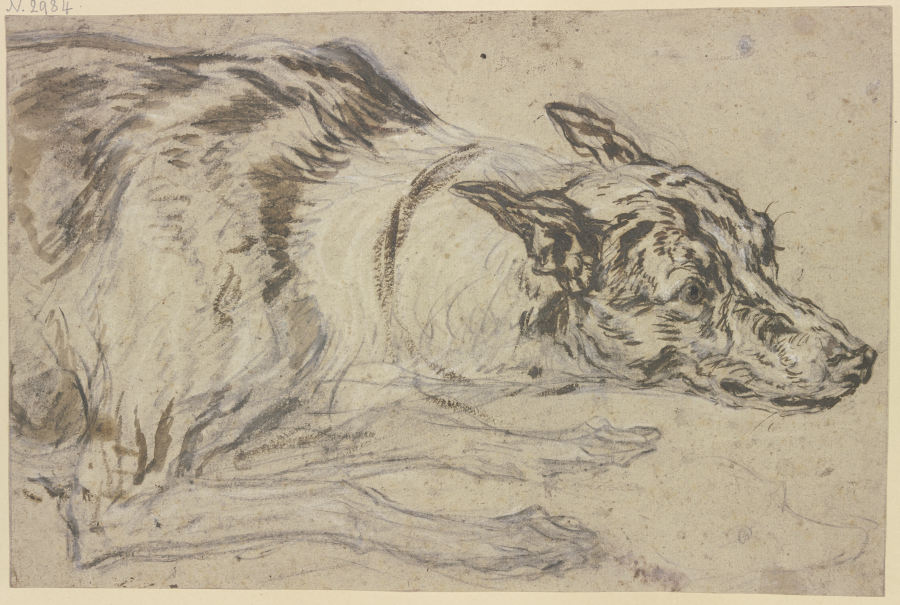 Gefleckter Hundekopf mit Vorderpfoten von Frans Snyders