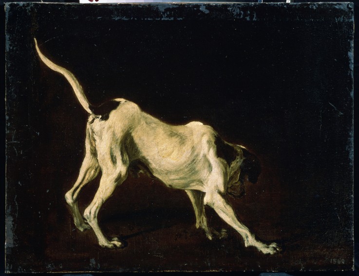 Hund von Frans Snyders