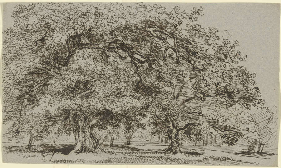 Bäume auf einer Wiese von Franz Innocenz Josef Kobell