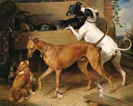 Kruger's Dogs 1855