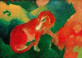 Roter Hund 1911