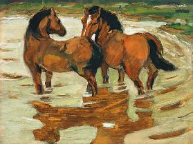 Zwei Pferde in der Schwemme 1910