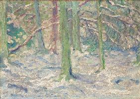 Verschneiter Wald 1909