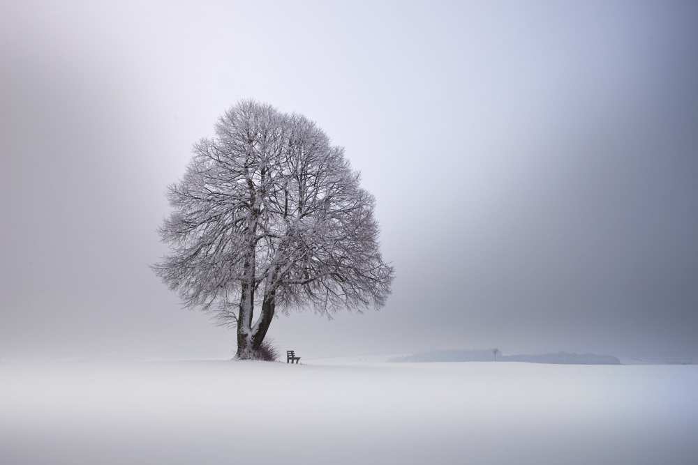 Winter light von Franz Schumacher