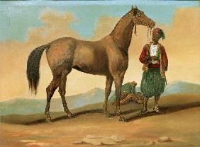 Beduine mit Araberpferd 19. 
