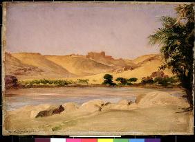 View on the Nile, c.1879 (oil on canvas) 19th