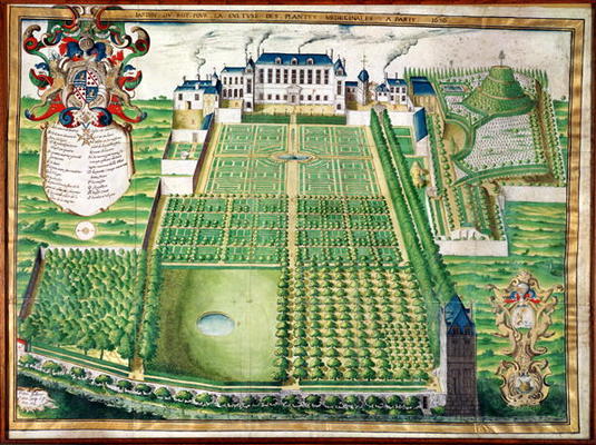 The King's Medicinal Plant Garden, 1636 (engraving on vellum) von Frederic Scalberge
