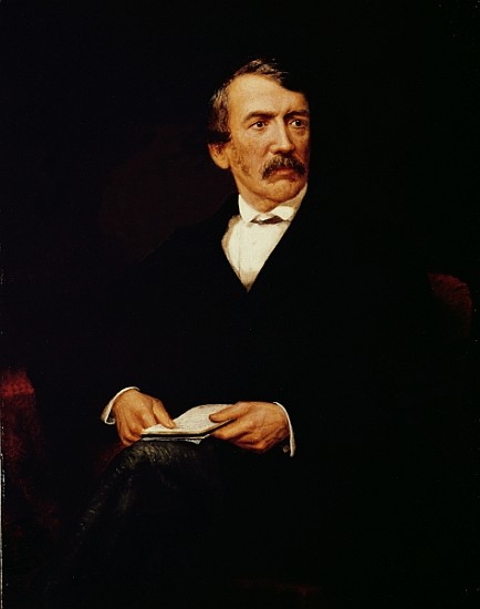 Portrait of Livingstone (1813-1873) von Frederick Havill