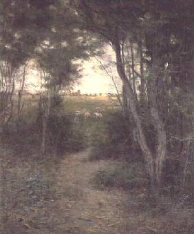 The Bush near Heidelberg, Melbourne 1898