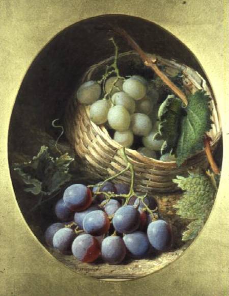 Red and White Grapes von Frederick T. Bayes