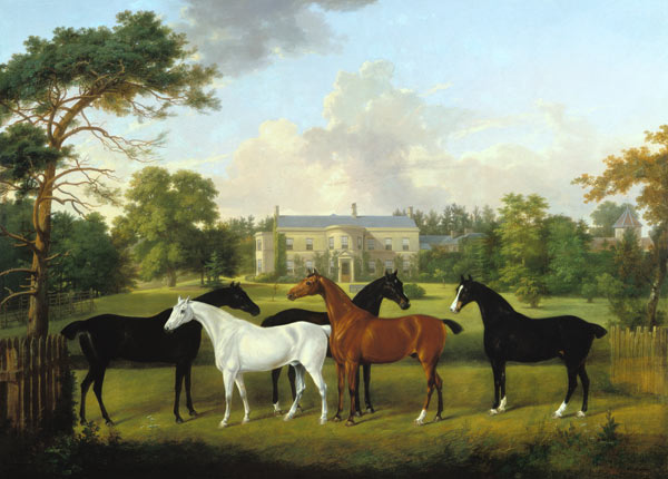 Fünf Rennpferde vor einem englischen Landhaus. von Frederick W. Keyl