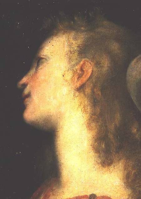 Head of an Angel von Frederico (Fiori) Barocci