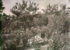 View of Giverny, Monet's Garden, early 1920s (photo) 19th