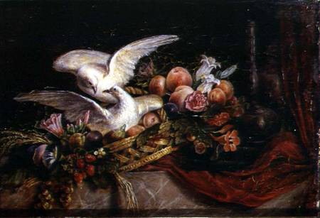 Still Life with Two White Doves von French School