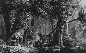 Forest Opening from ''Bresil, Columbie at Guyanes'', Ferdinand Denis and Cesar Famin 1839