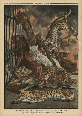 The fire at the Universal Exhibition of Brussels, a menagerie being consumed the flames, illustratio