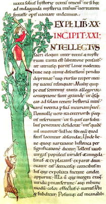 Ms 173 f.41 Historiated inital 'I' depicting a monk and a lay chopping and pruning a tree, from Mora von French School, (12th century)