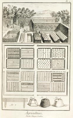 A vegetable garden, from 'The Encyclopedia of Science, Art and Engineering' by Denis Diderot (1713-8 von French School, (18th century)