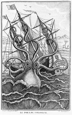 Giant Octopus, illustration from 'L'Histoire Naturelle Generale et Particuliere ses Mollusques' by D von French School, (19th century)
