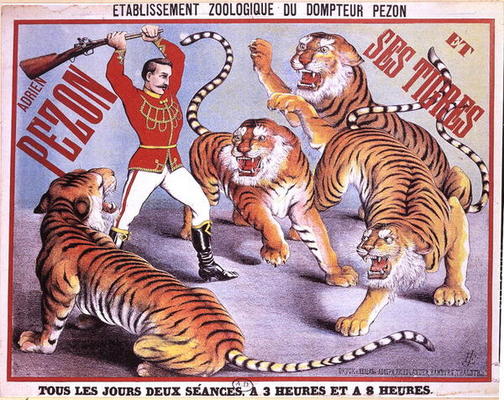 Poster advertising 'Adrien Pezon and his Tigers', c.1897 (colour litho) von French School, (19th century)