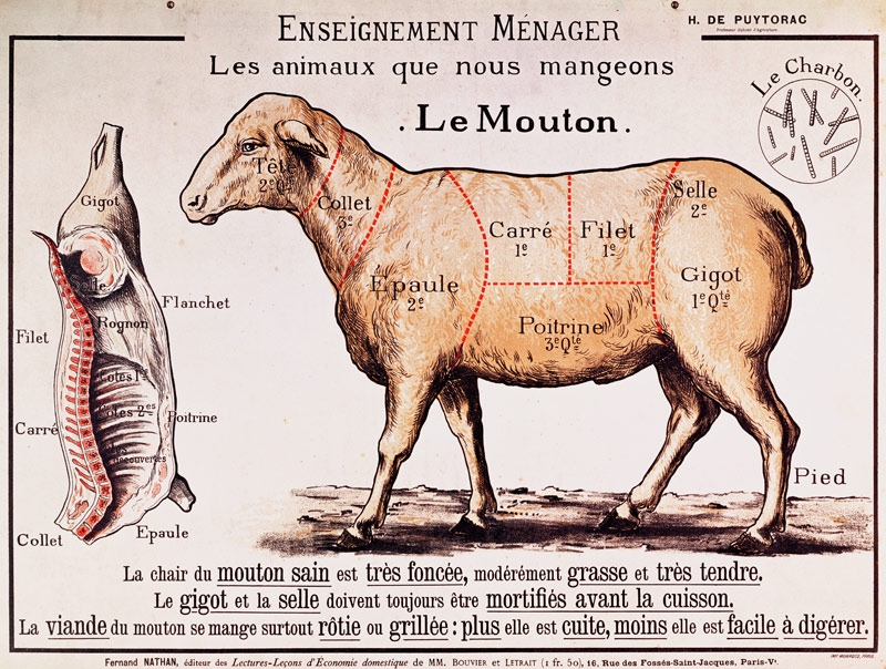 Mutton: diagram depicting the different cuts of meat (colour litho) von French School, (20th century)