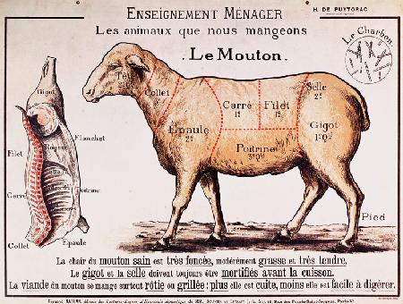 Mutton: diagram depicting the different cuts of meat (colour litho) 1818